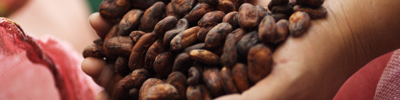 Cacao Bohnen