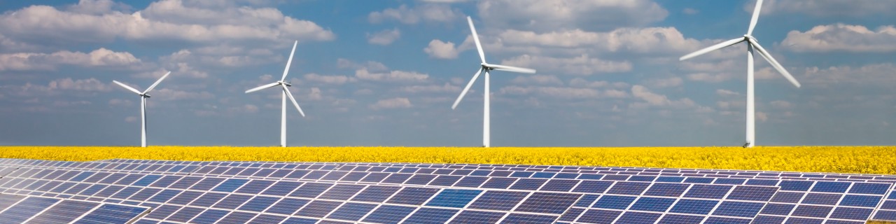 Windräder und Solarkraftwerk auf Feld mit gelben Pflanzen vor blauem Himmel