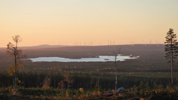 wood with lake, many wind mills in the background