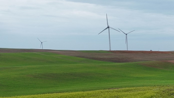 Windräder in Graslandschaft