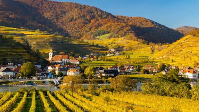 Eine Landschaft mit Weinbergen