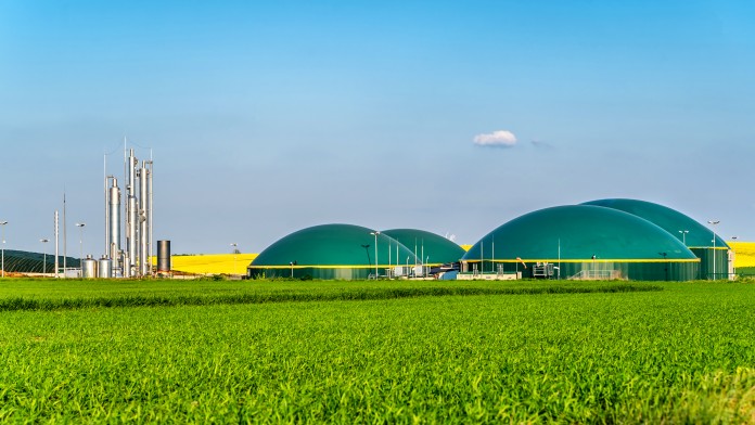 Biogas plant in rural area with rapeseed field