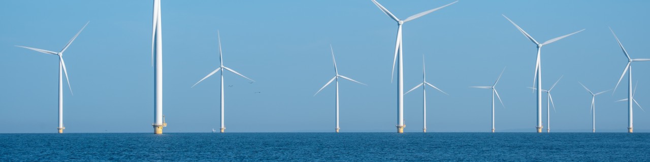 Offshore wind farm