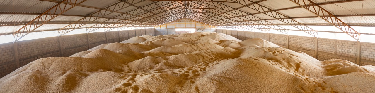 maize silo