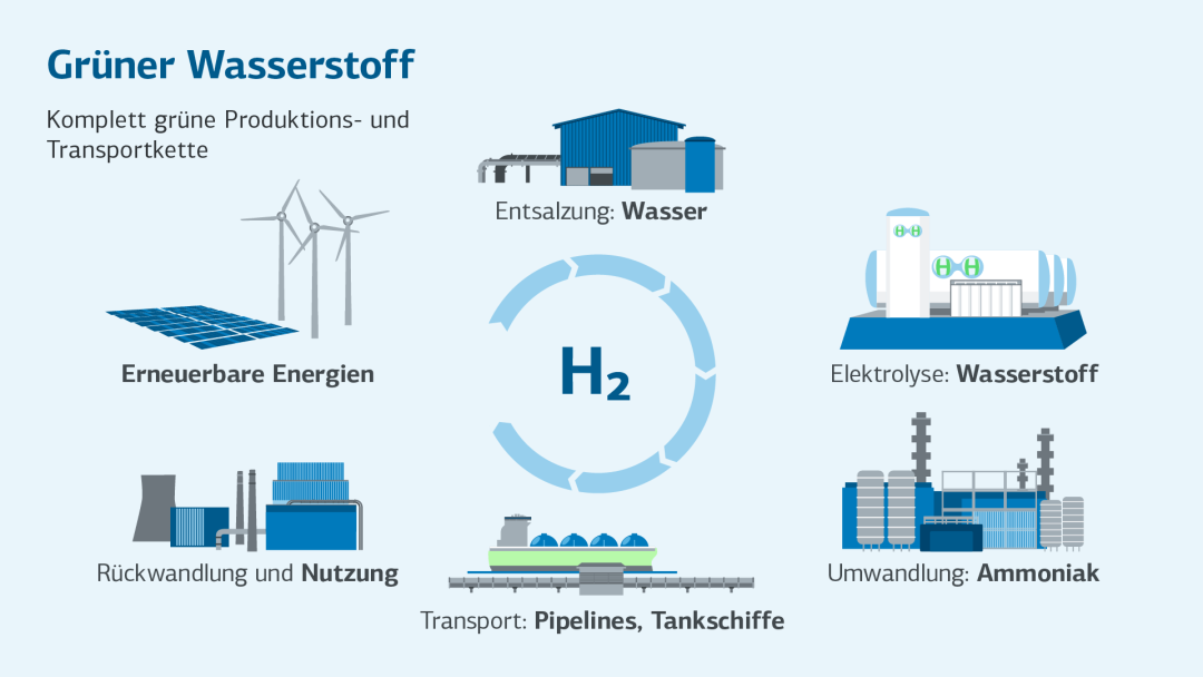 Infografik über grünen Wasserstoff mit einer komplett grünen Produktions- und Transportkette mit den Stufen Entsalzung, Elektrolyse, Umwandlung, Transport, Rückwandlung und Nutzung und Erneuerbaren Energien
