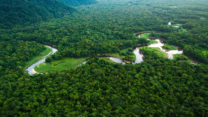 Fluss im tropischen Regenwald
