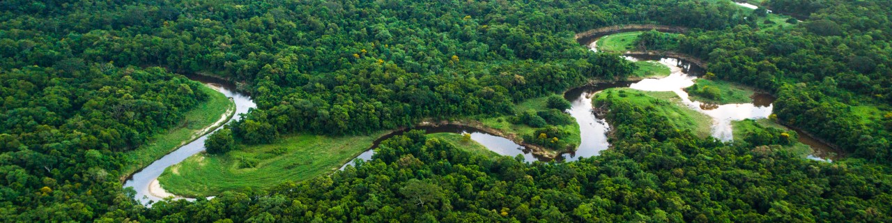 river in the green rain forrest