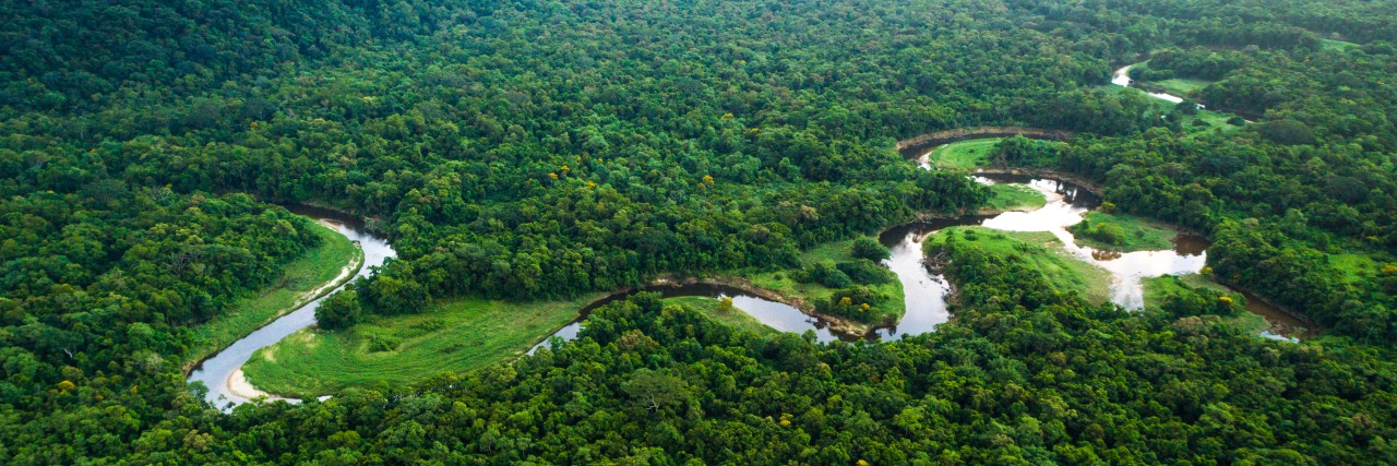 KfW und WWF unterstützen Brasilien bei der Wiederaufforstung von 12 Mio. Hektar Regenwald