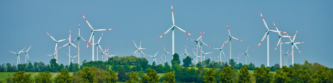 Windpark auf grüner Wiese
