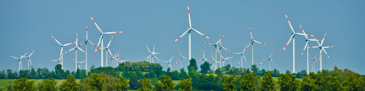 Windräder auf einer Wiese mit Bäumen