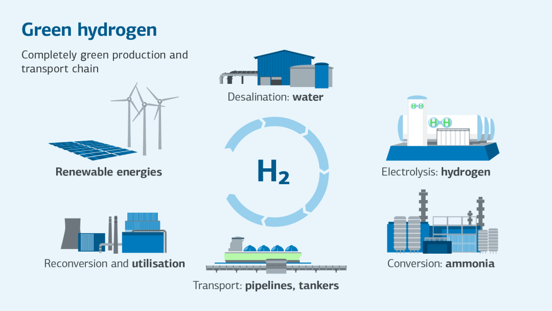 Infographic on green hydrogen with a fully green production and transport chain with the stages of desalination, electrolysis, conversion, transport, reconversion and utilisation and renewable energies
