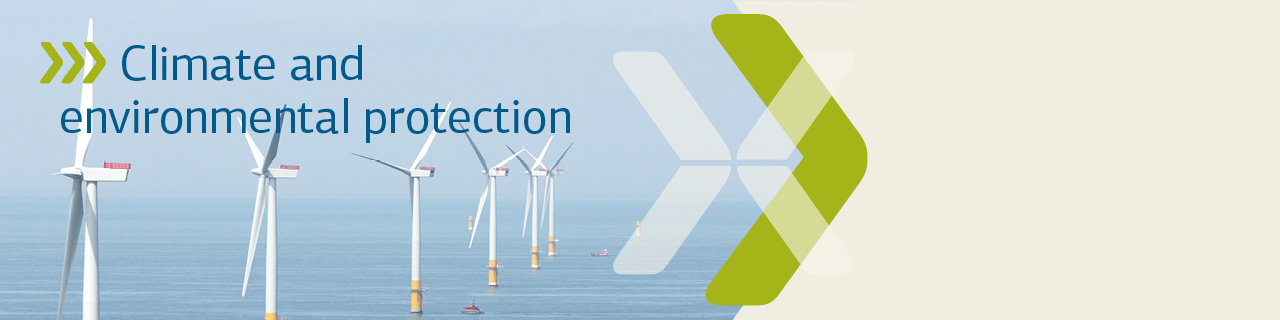 Offshore wind farm
